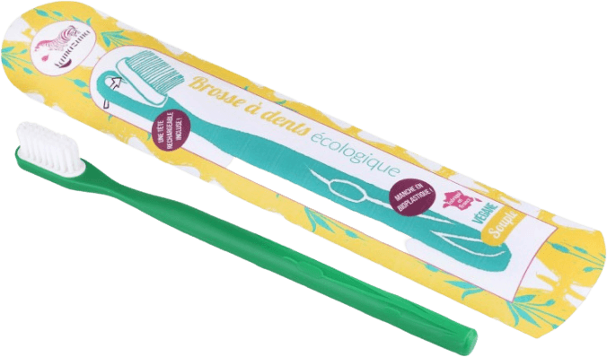 Brosse à Dents Medium Rechargeable Verte